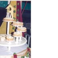 OA/OP 2/Wedding 1/10-05-2008