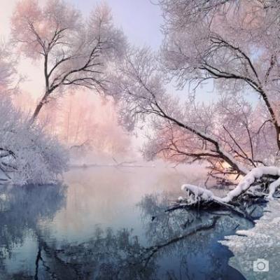 Rideaux occultants hristmas lace winter paysage dans des tons roses avec de la gelee de givre partout tres calme riviere d 39 hiver entoure d 39 arbres couverts de givre et de neig